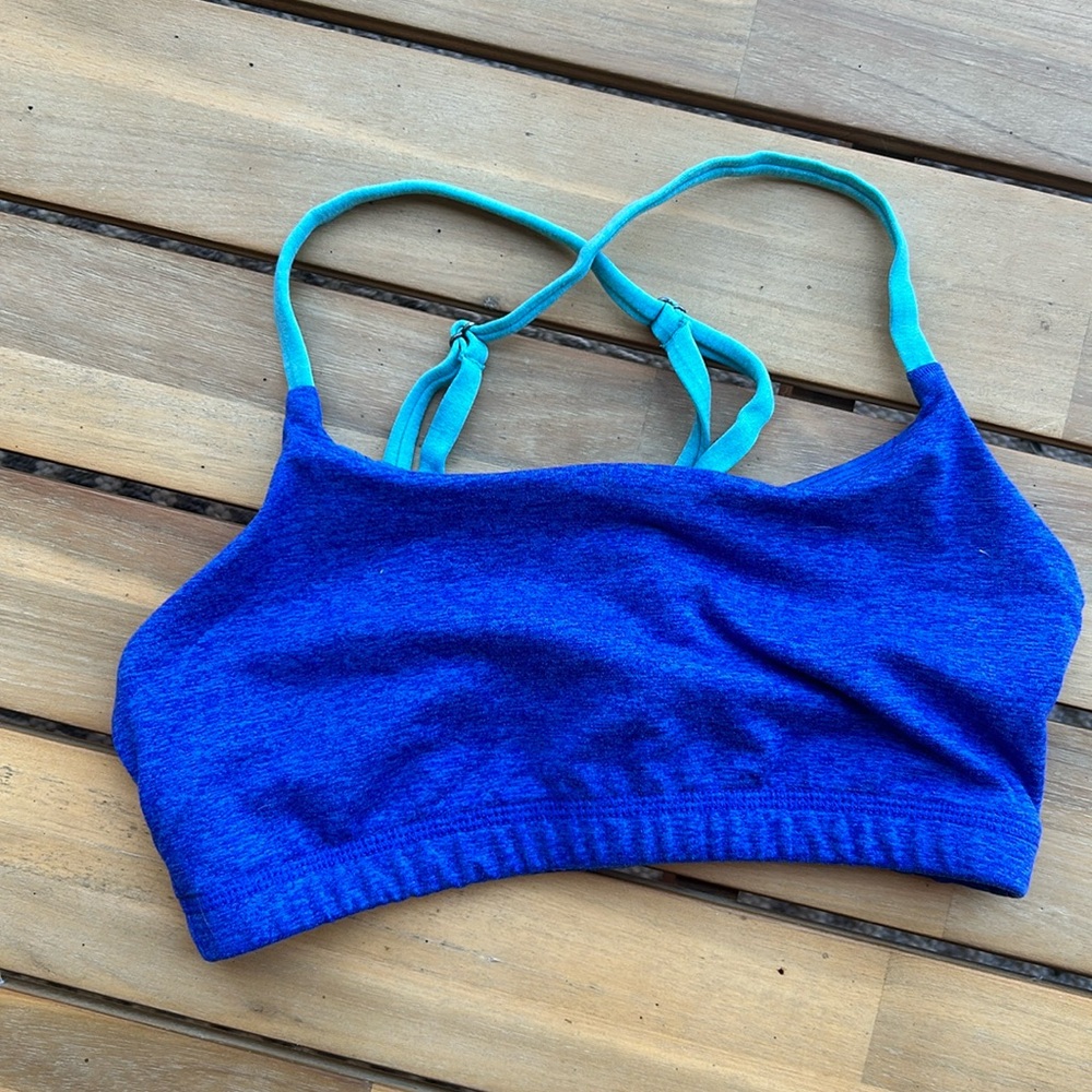 Rabbit Sports Bra